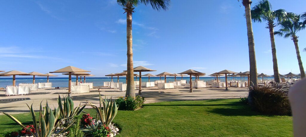 فندق منتجع شمس سفاجا ، محافظة البحر الأحمر، صورة