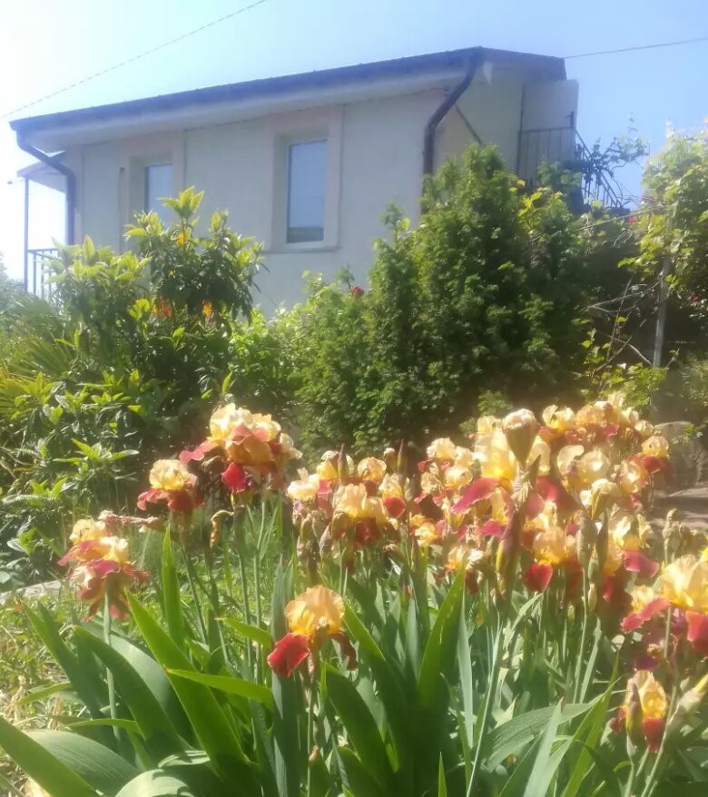 Фото отеля 2