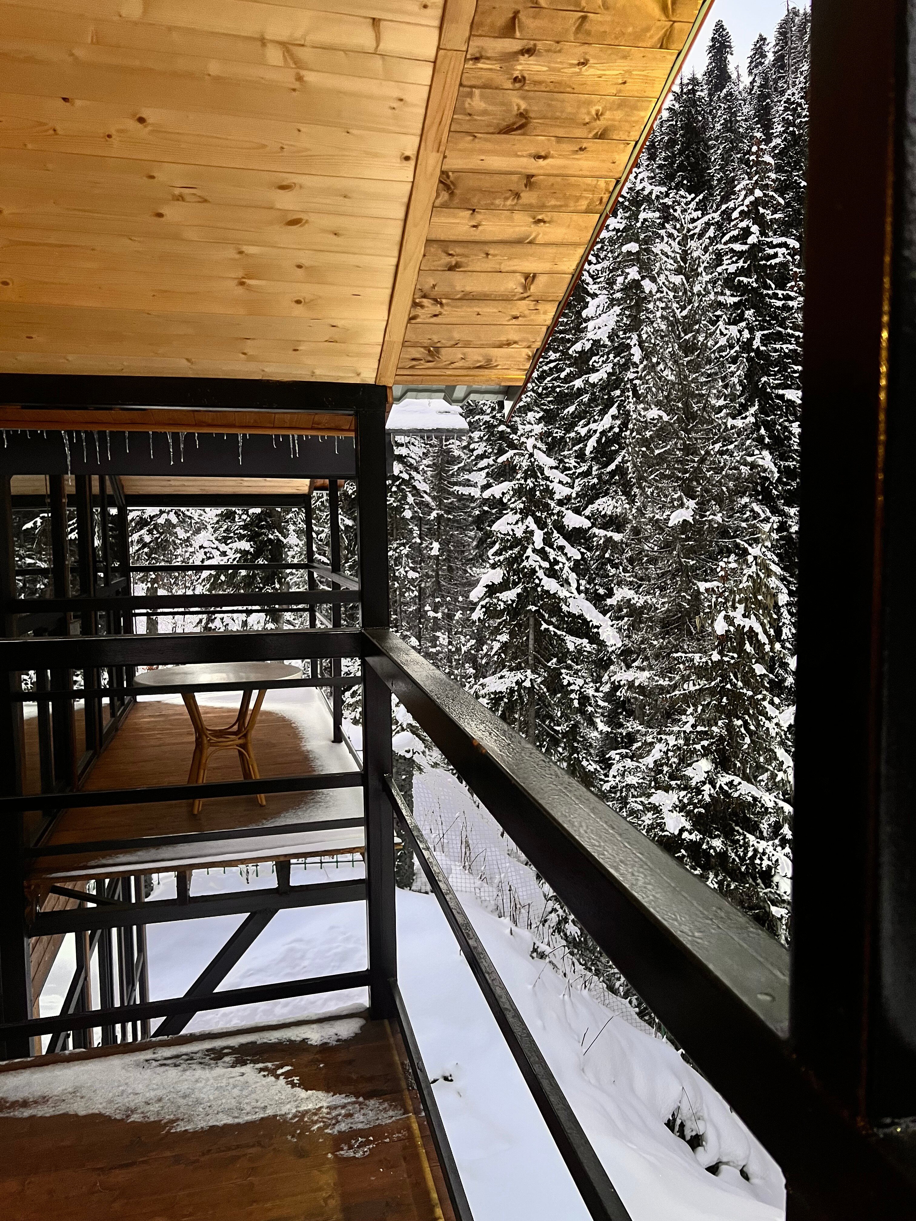 Фото Forest glamp