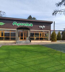 Папоротник (Settlement of Tavrichanka, Parkovaya ulitsa, 16), cafe