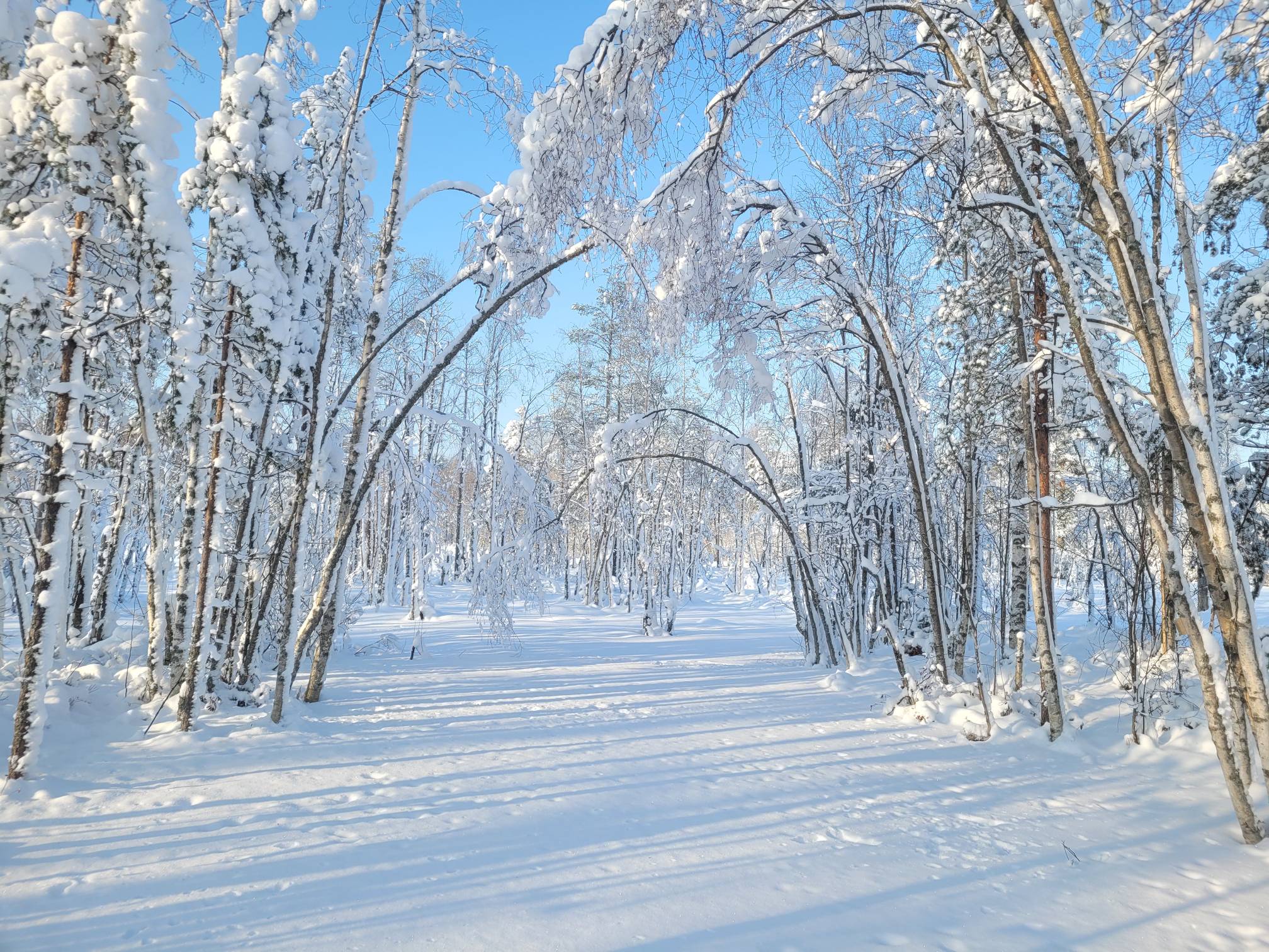 Фото Маро Лампи