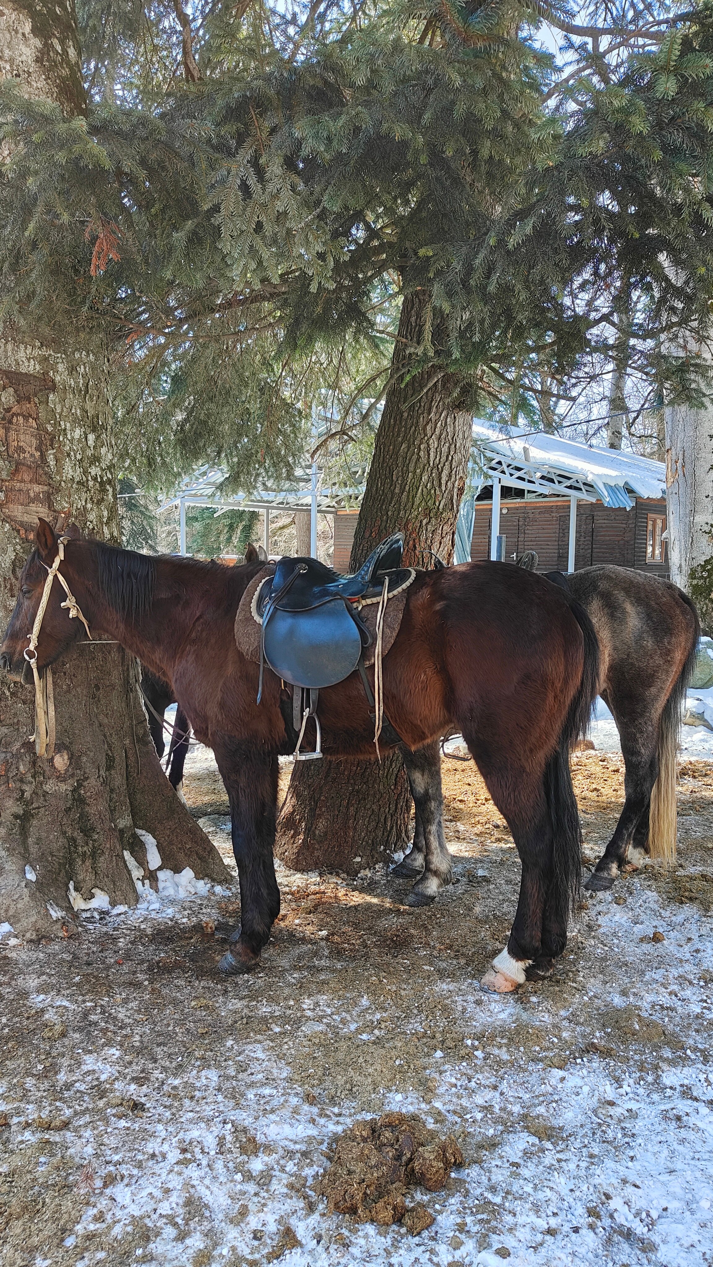 Фото Горный родник