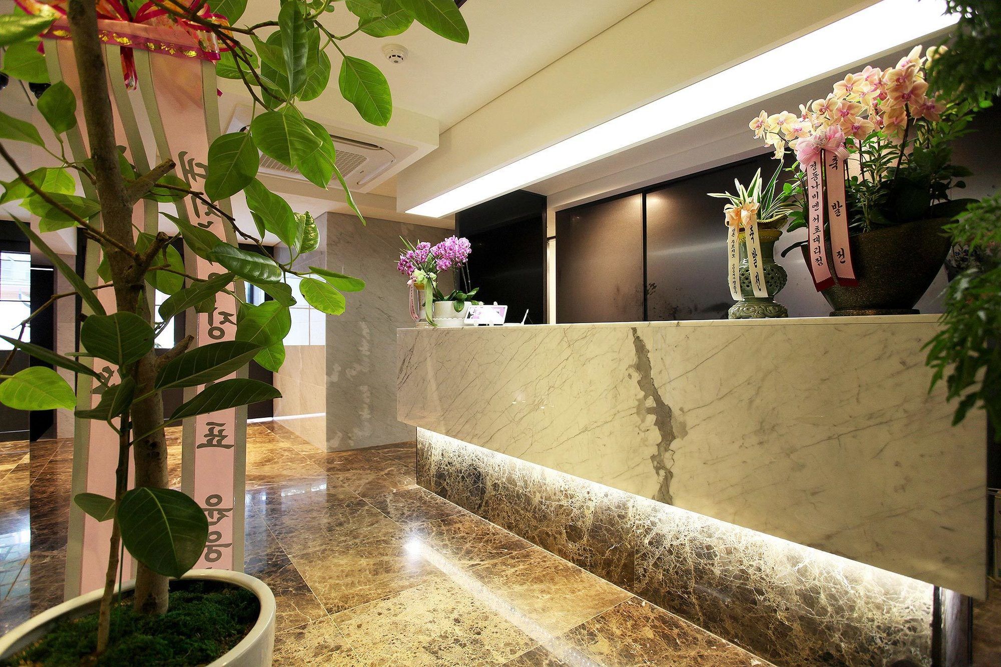 Фото Shinchon Wol