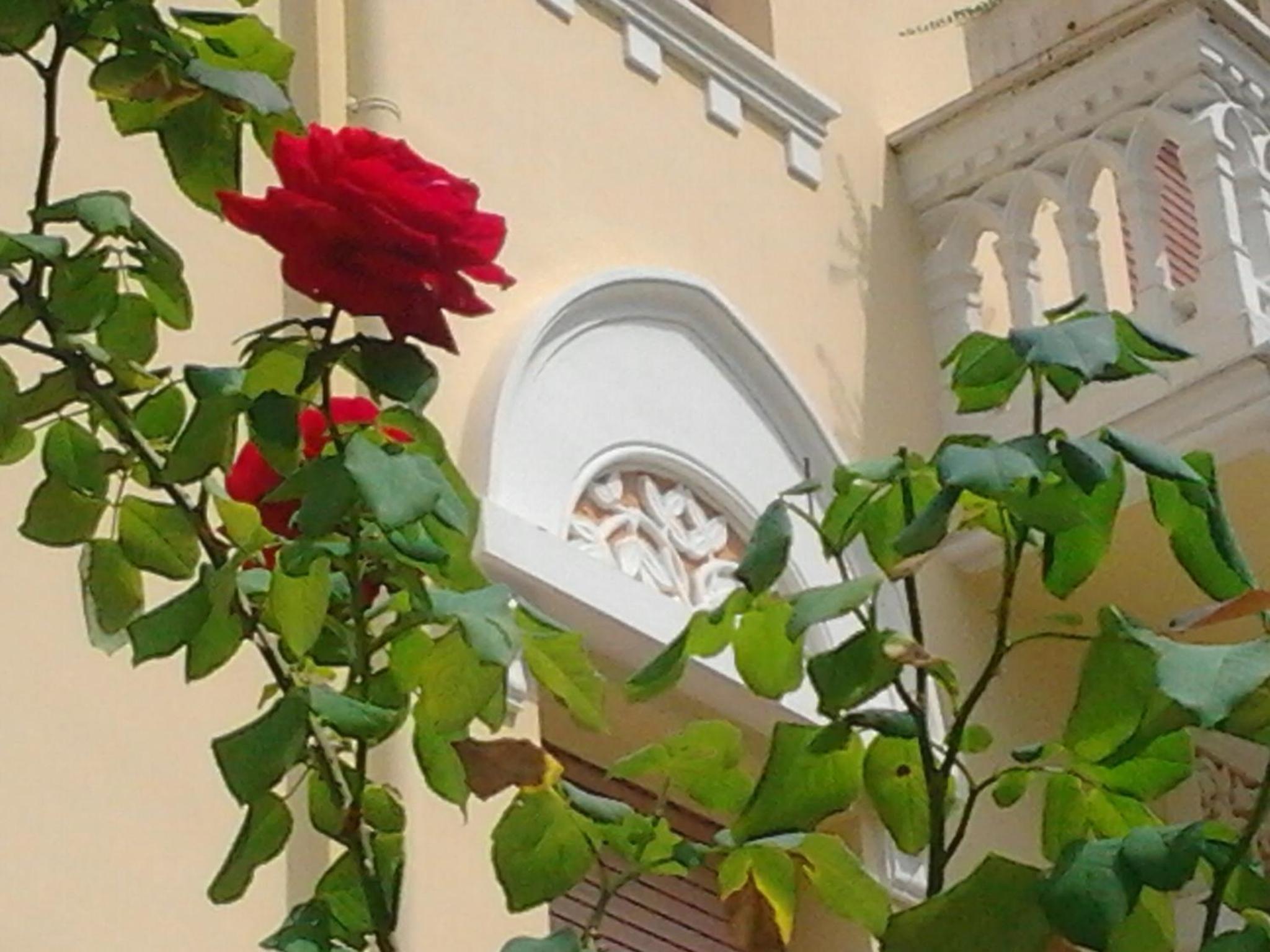 Фото Relais Le Felci