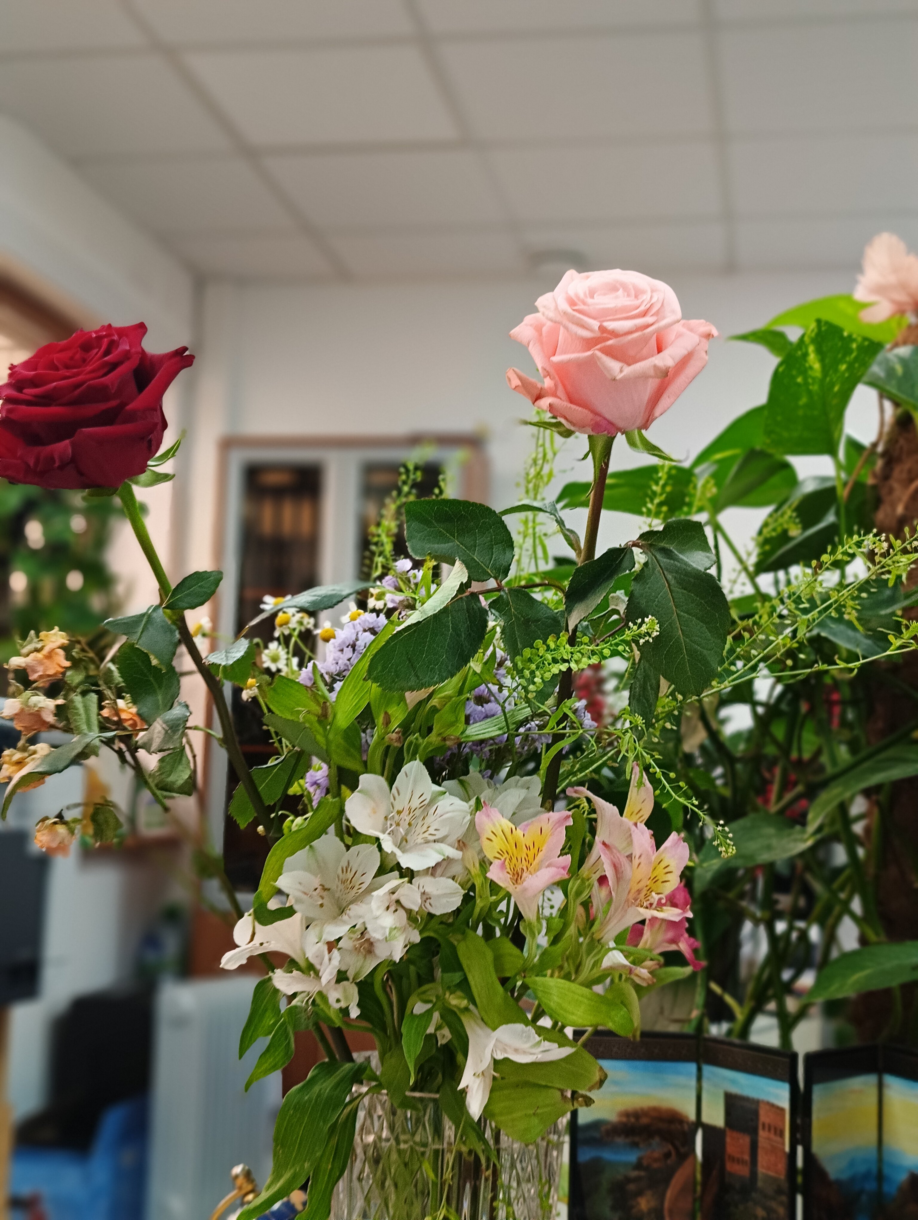 Фото Дубровский