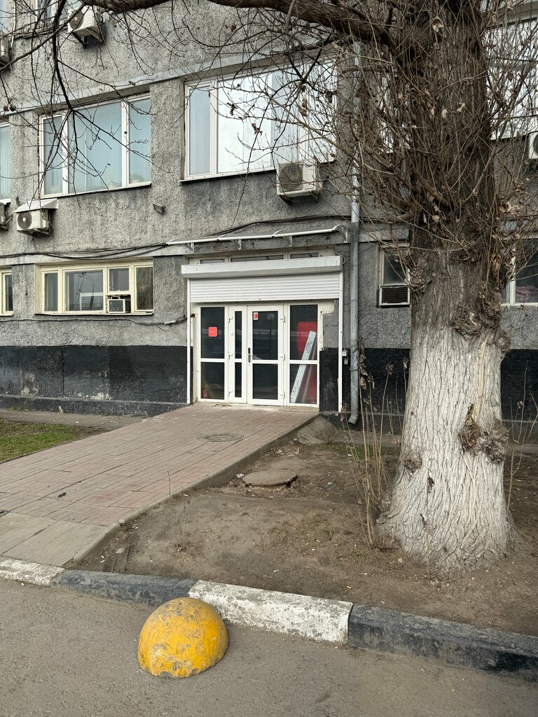 Organization of events Smiletogo.ru, Moscow, photo