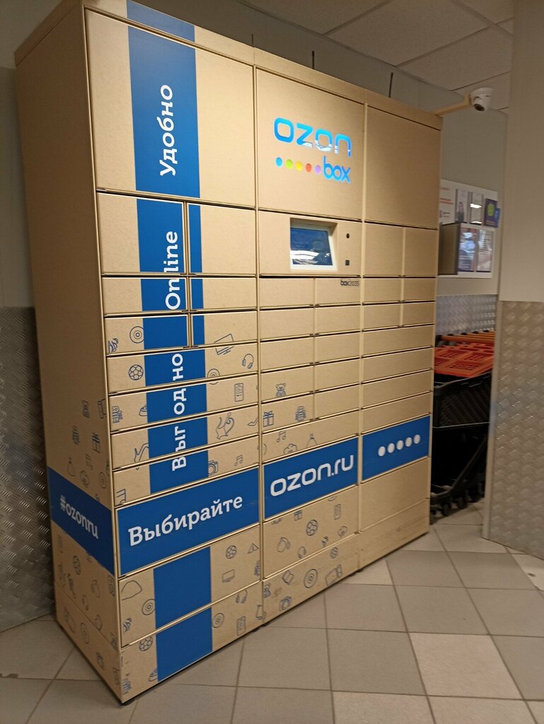 Parcel automat Ozon box, Yaroslavl, photo