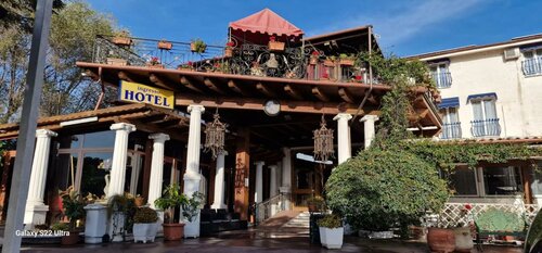 Гостиница Hotel Chopin в Фьюмичино