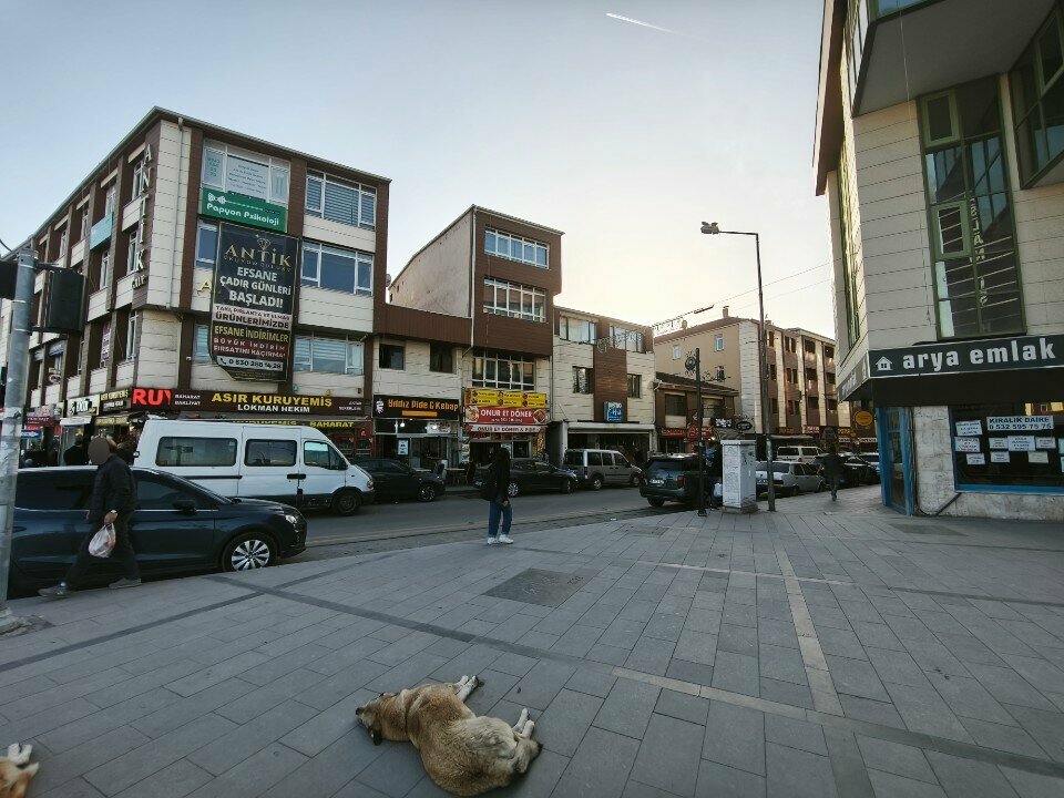 Hardware store Yaraoglu Yapi Market, Ankara, photo