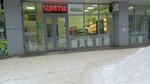 Белая поляна (Orbita District, Lytkina Street, 31), dairy products shop