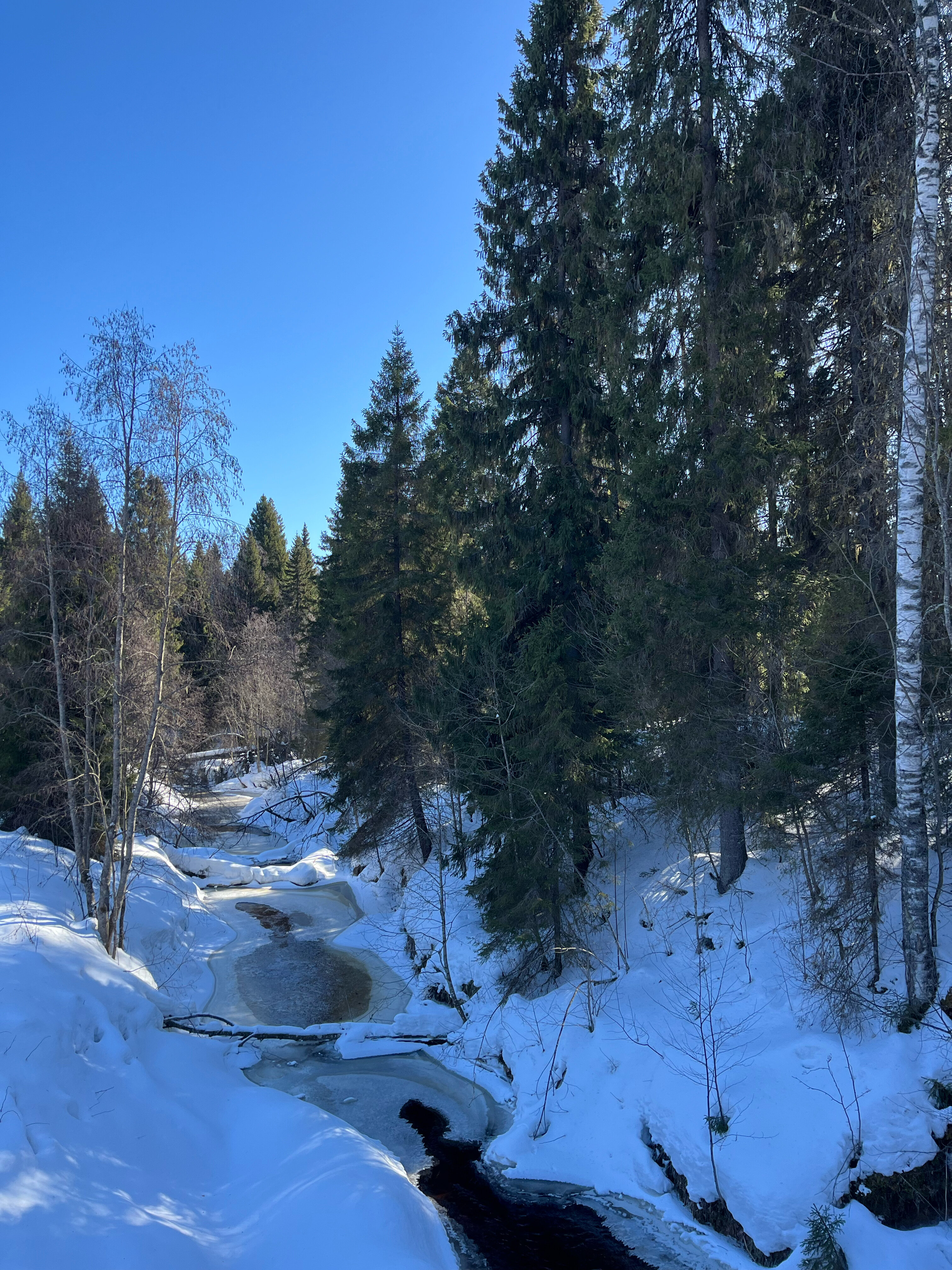 Фото Малиновка