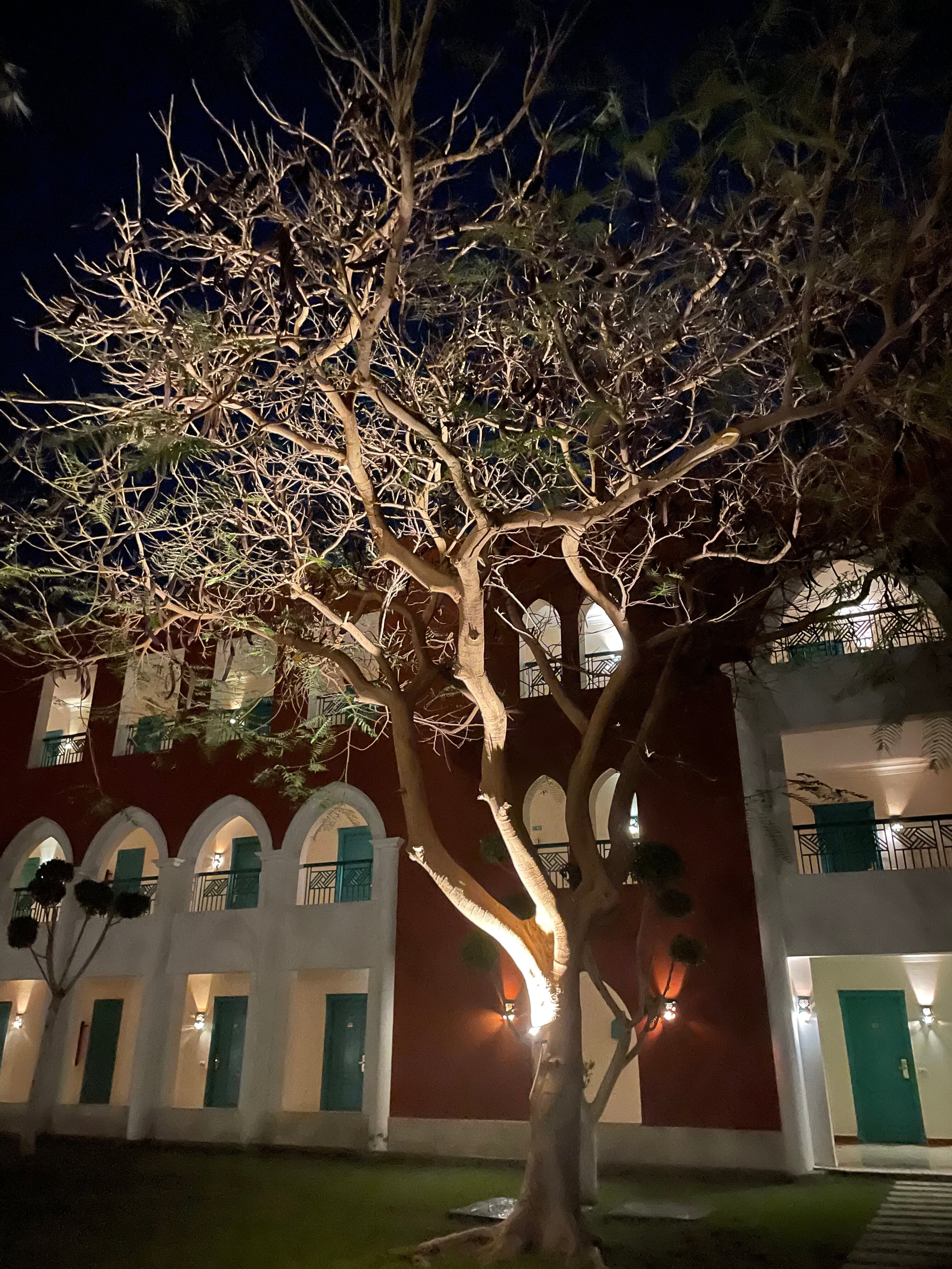 Фото Sunrise Mamlouk Palace Resort