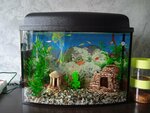 Zoomagazin Kit (ulitsa Toreza, 15Б), pet shop