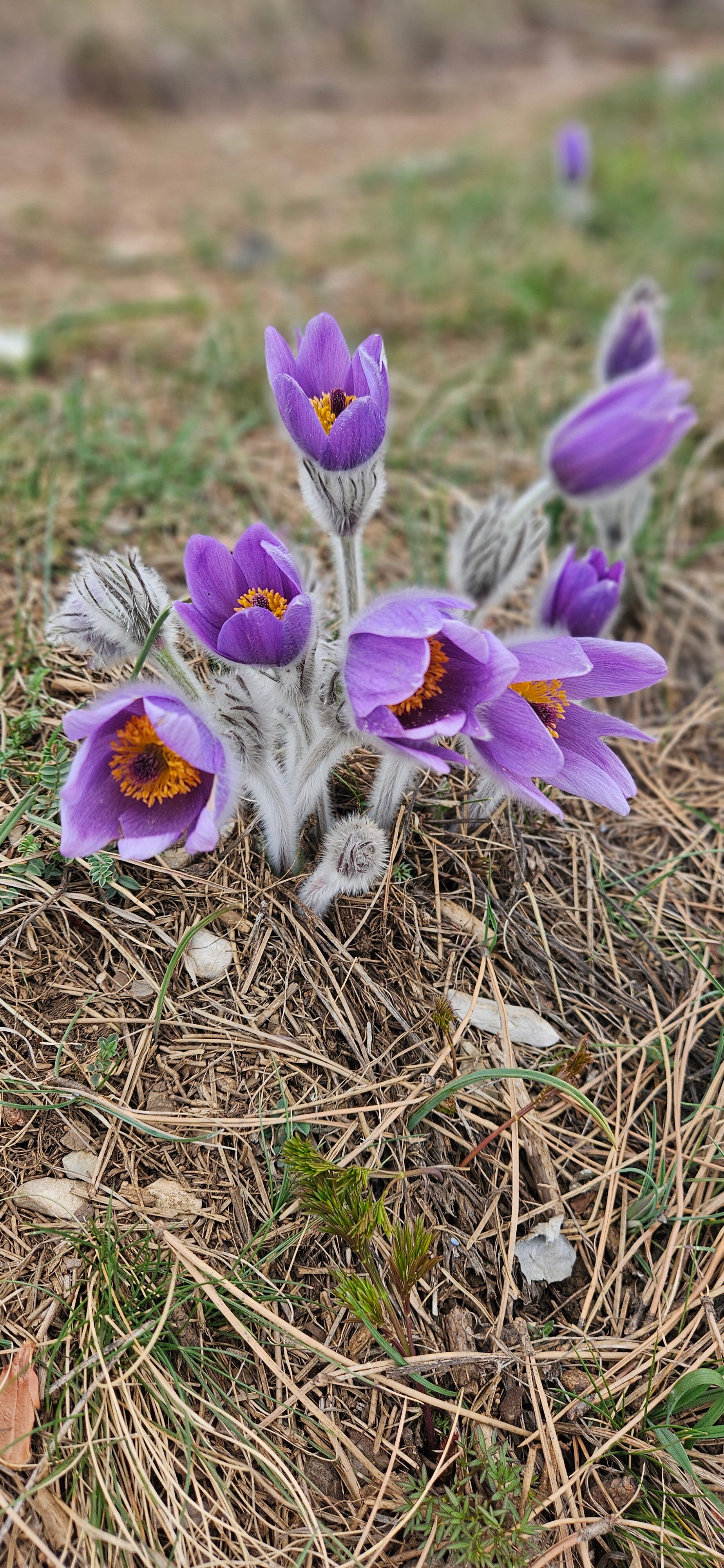 Фото Охотничий дом