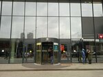 Пикасо (Presnenskaya Embankment, 10с2), it company