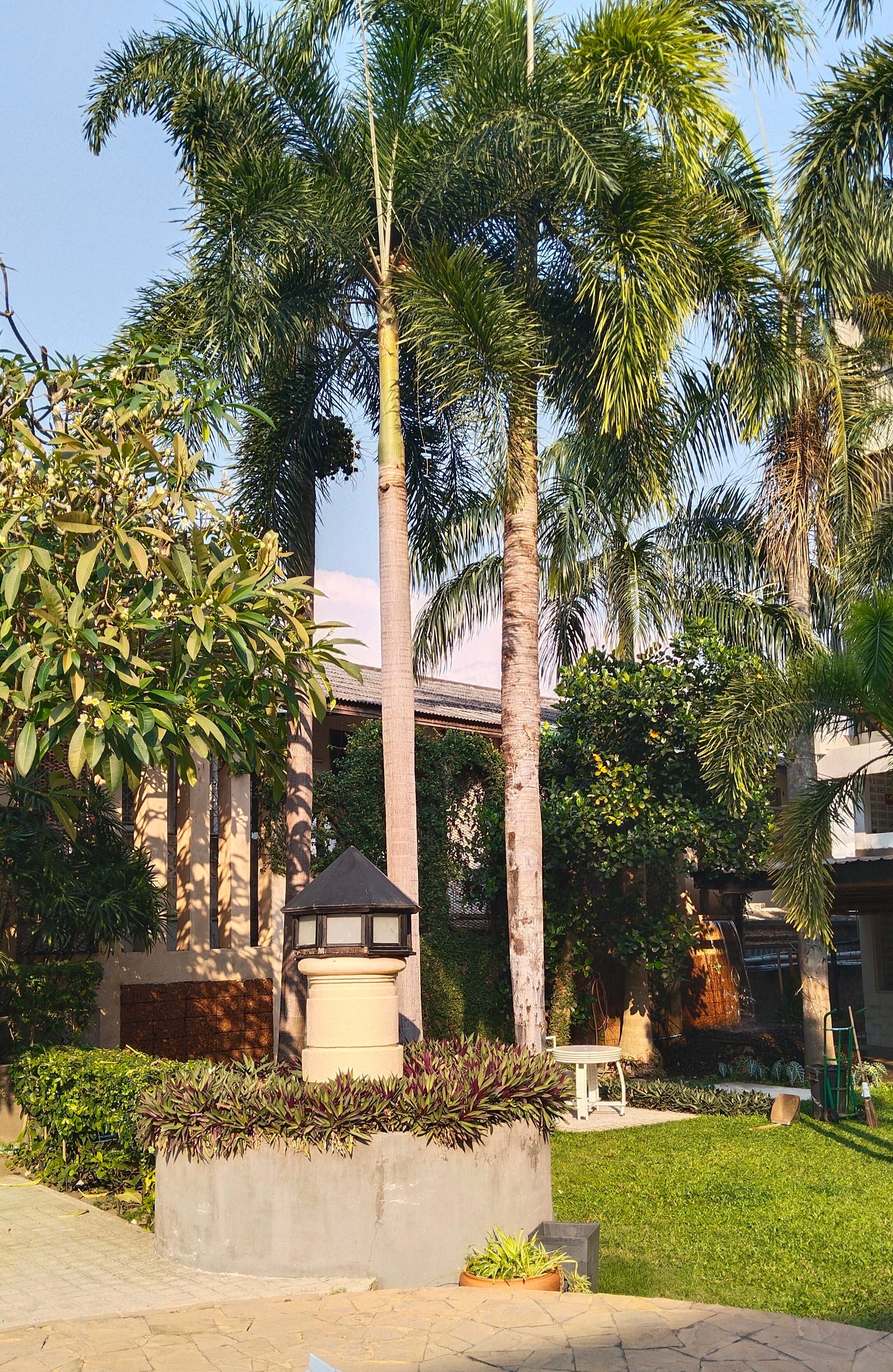 Фото Lantana Pattaya Hotel & Resort