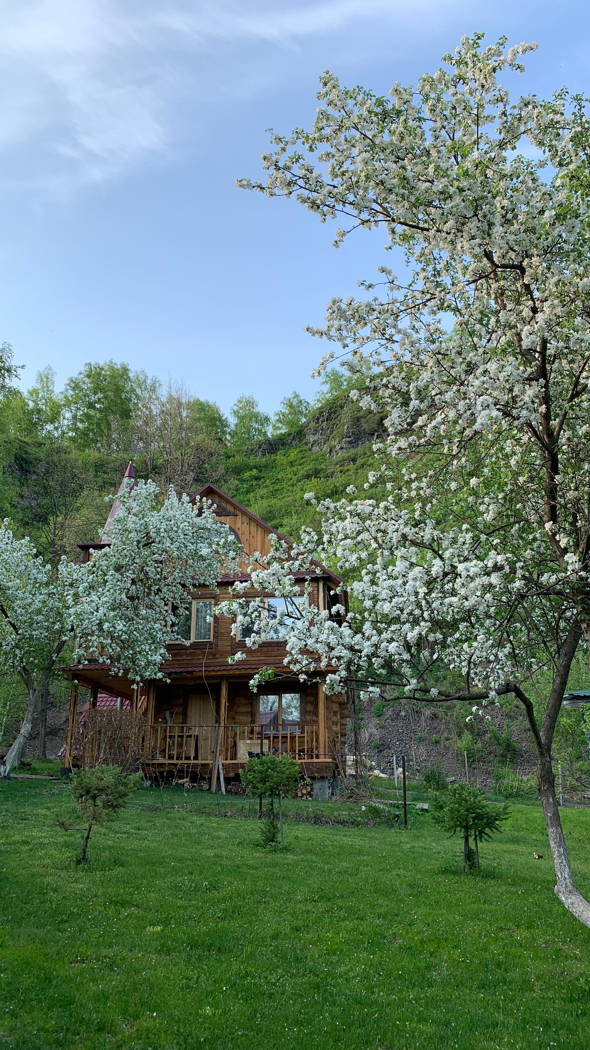 Фото Усадьба Сокол