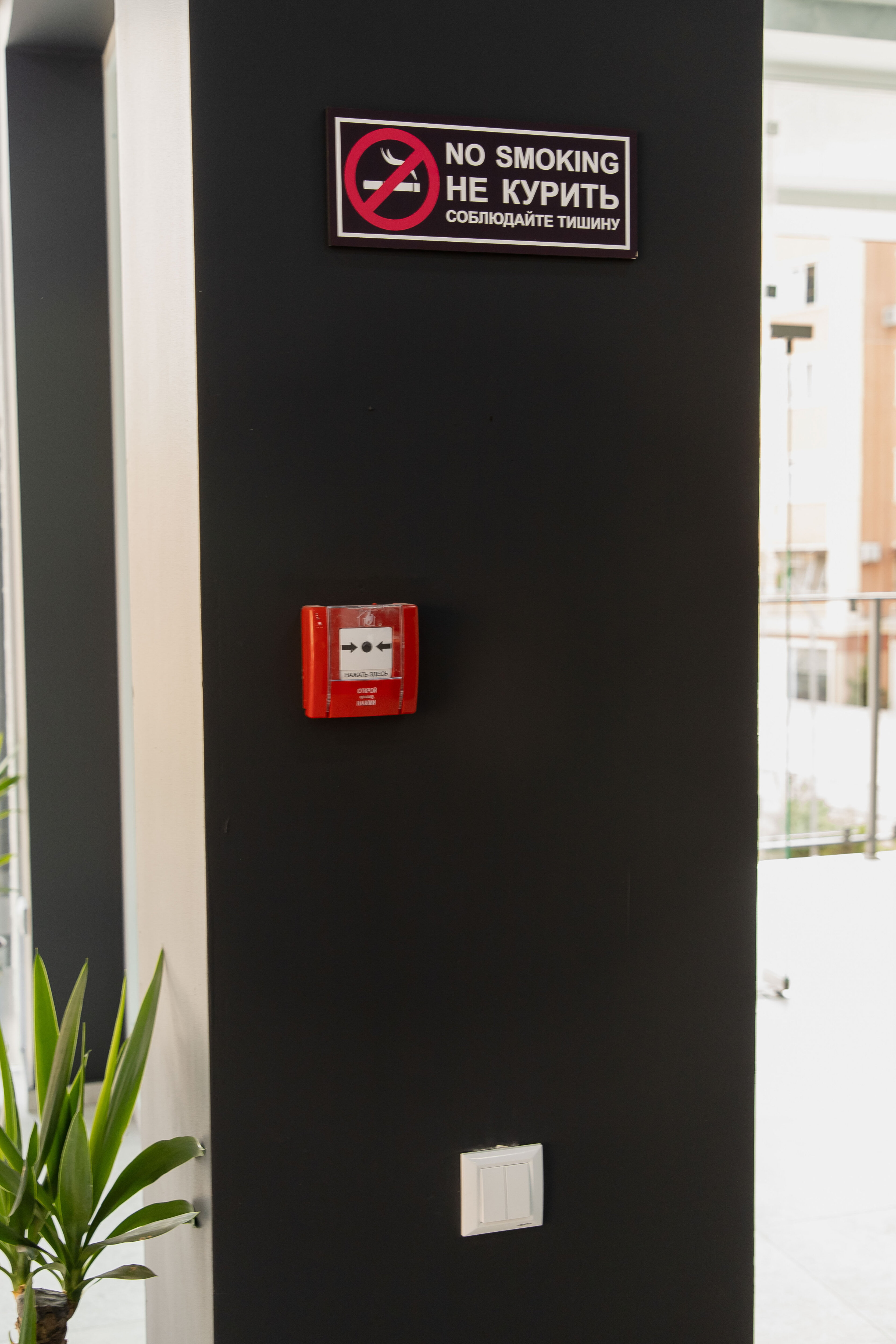 Фото Safarov’s Family