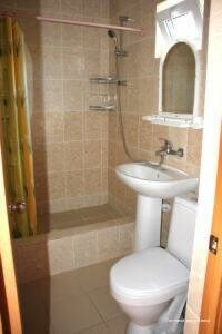 Фото Кипарис