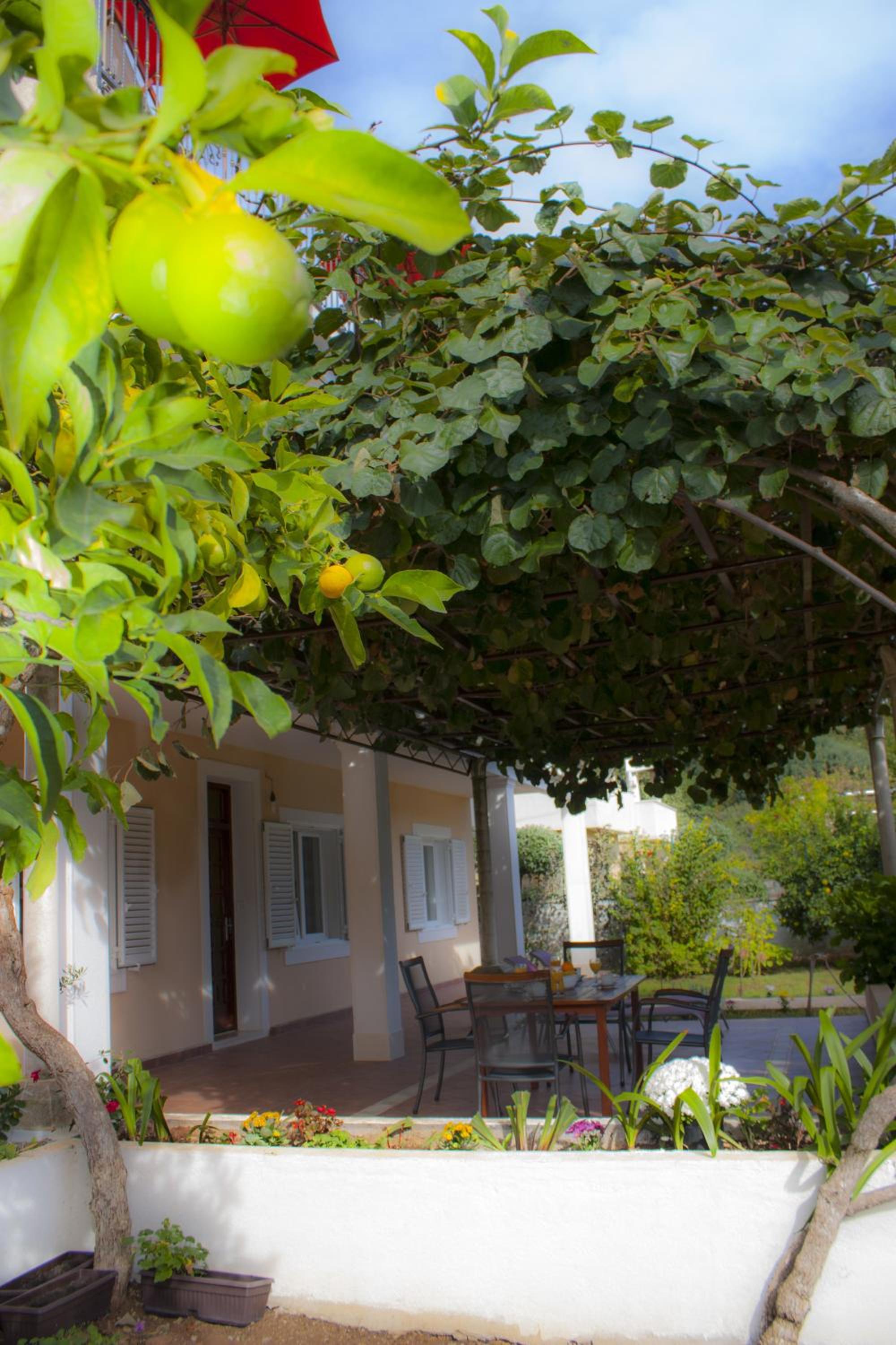 Фото Green Park Apartments