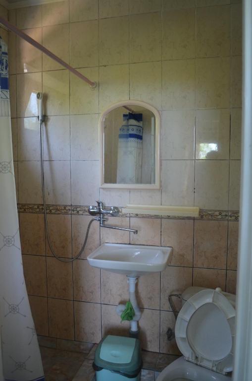 Фото Дом с флагом