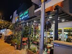 Mon Ami Coffee Antalya (Antalya, Muratpaşa, Fener Mah., 1967/1. Sok., 5), cafe