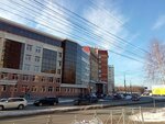 Fgbu Roslesinforg (Panfilova Street, 39Г), gestión forestal, reforestación