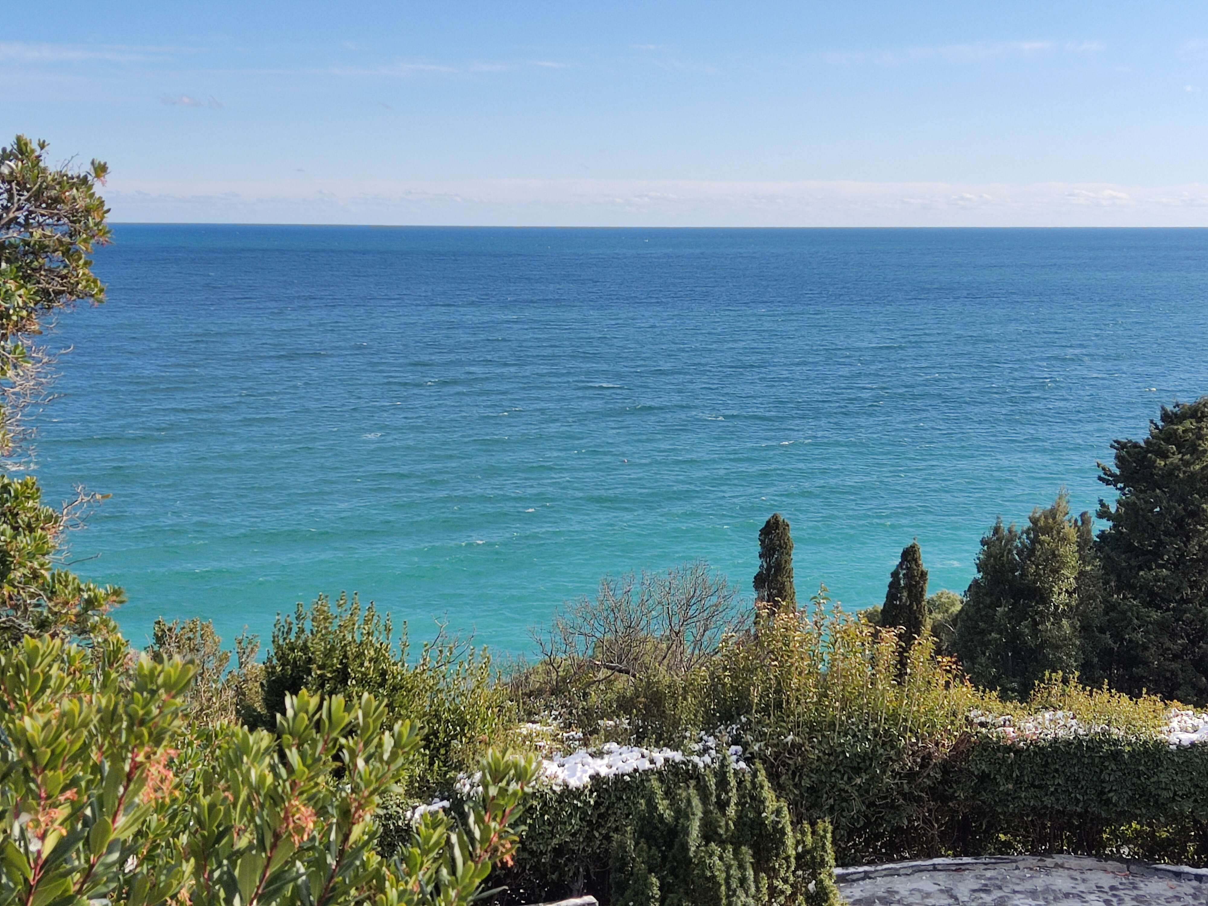 Фото На Дражинке