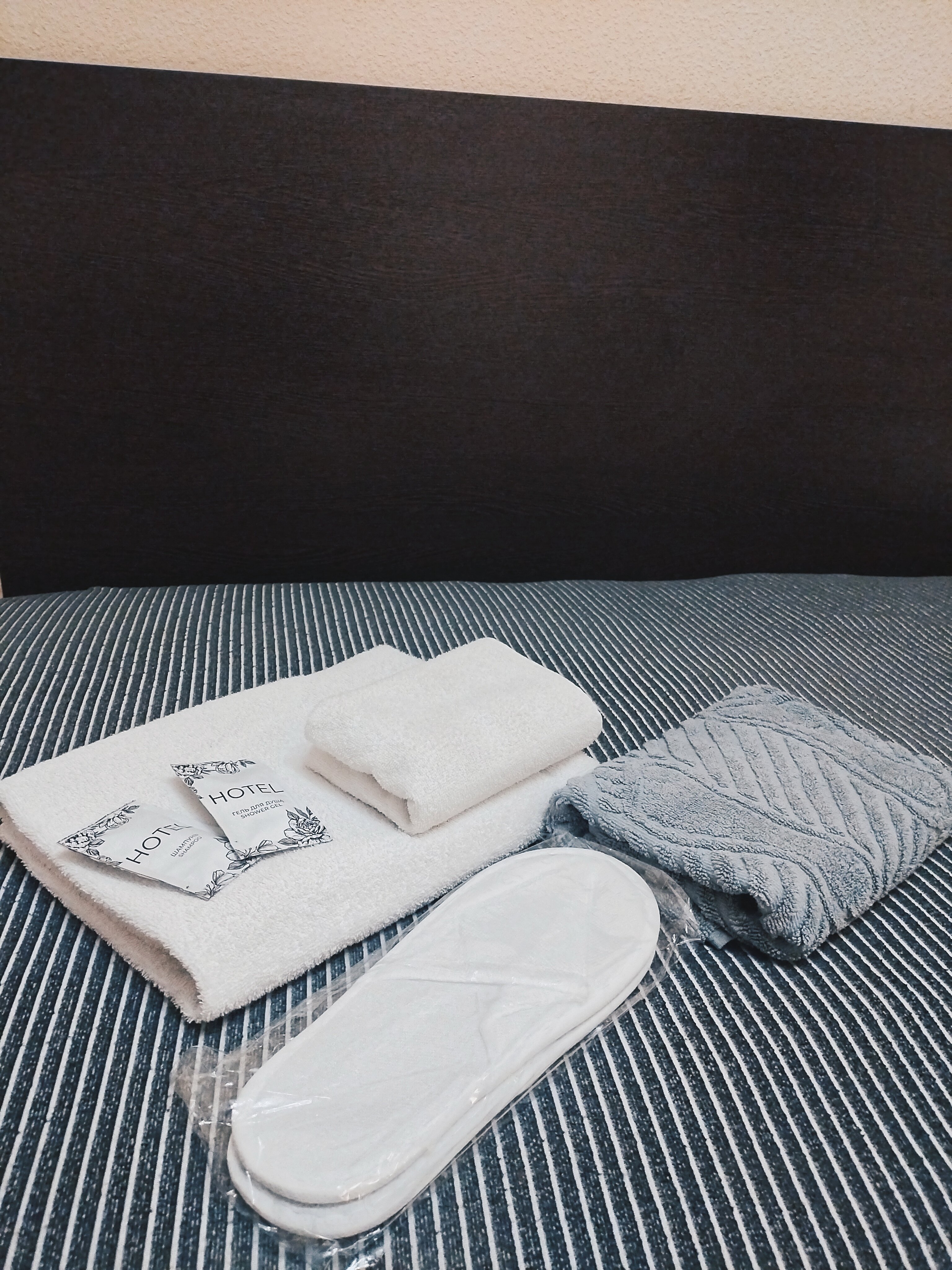 Фото Снегири