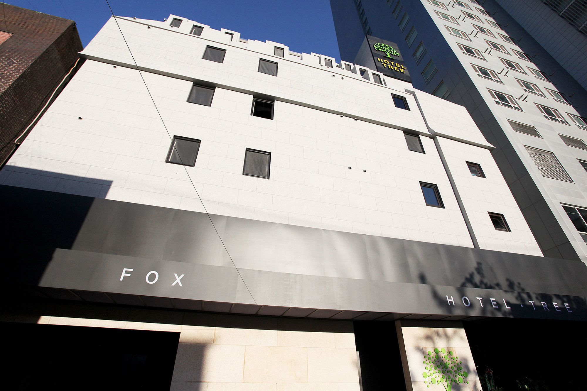 Фото Shinchon Wol