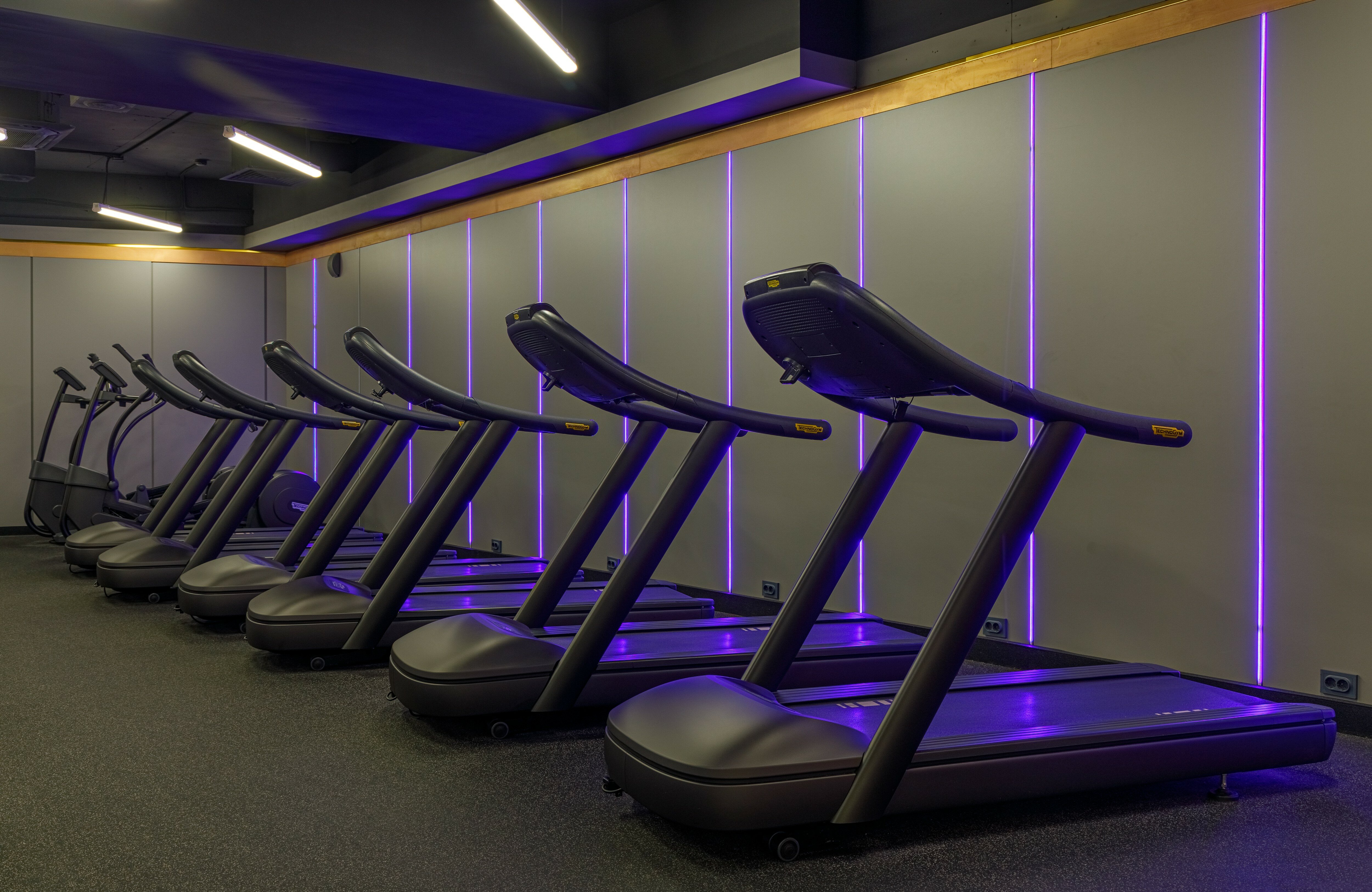 Фото Wind Rose Hotel & SPA