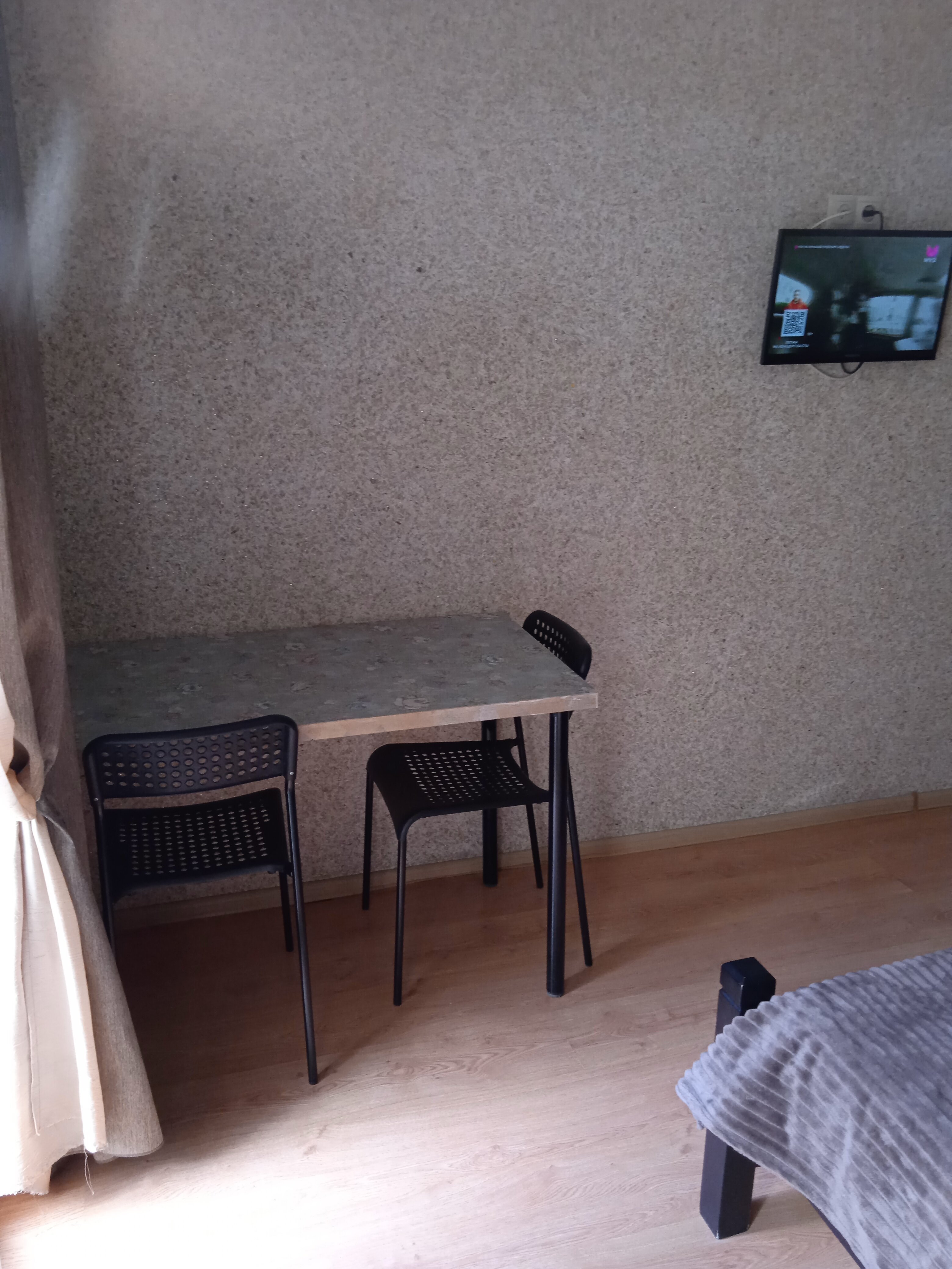 Фото Акация