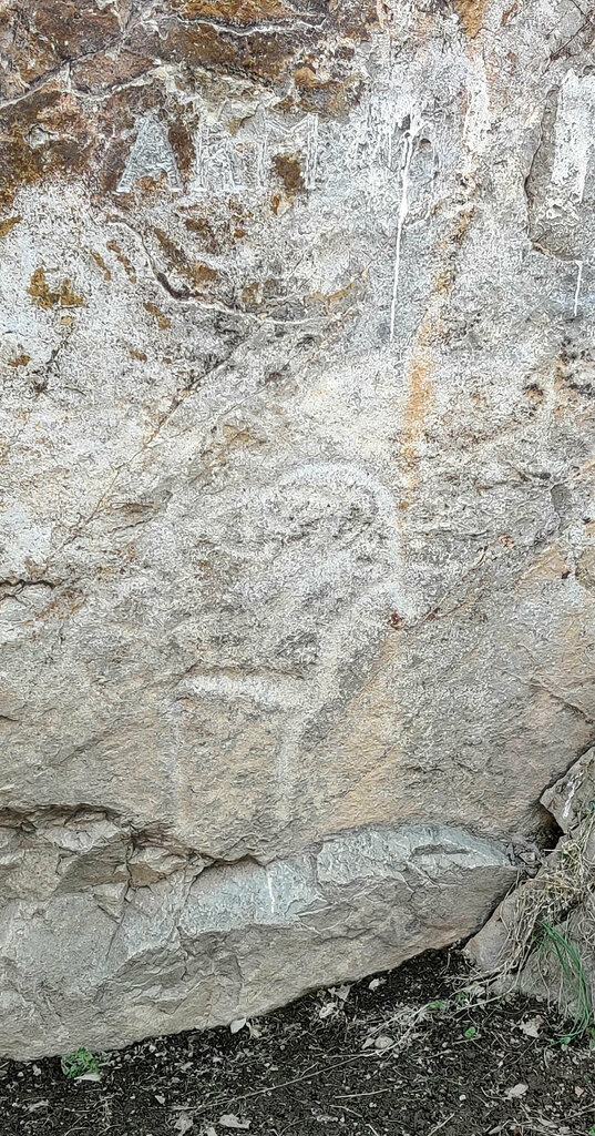 Landmark, attraction Ancient Petroglyphs, Tashkent Province, photo