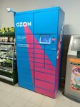 Ozon (Ufimskoye Shosse Street, 49), parcel automat