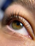 Брови • Лами ресниц • Перманент (Krupskoy Street, 34), eyebrow and eyelash salon