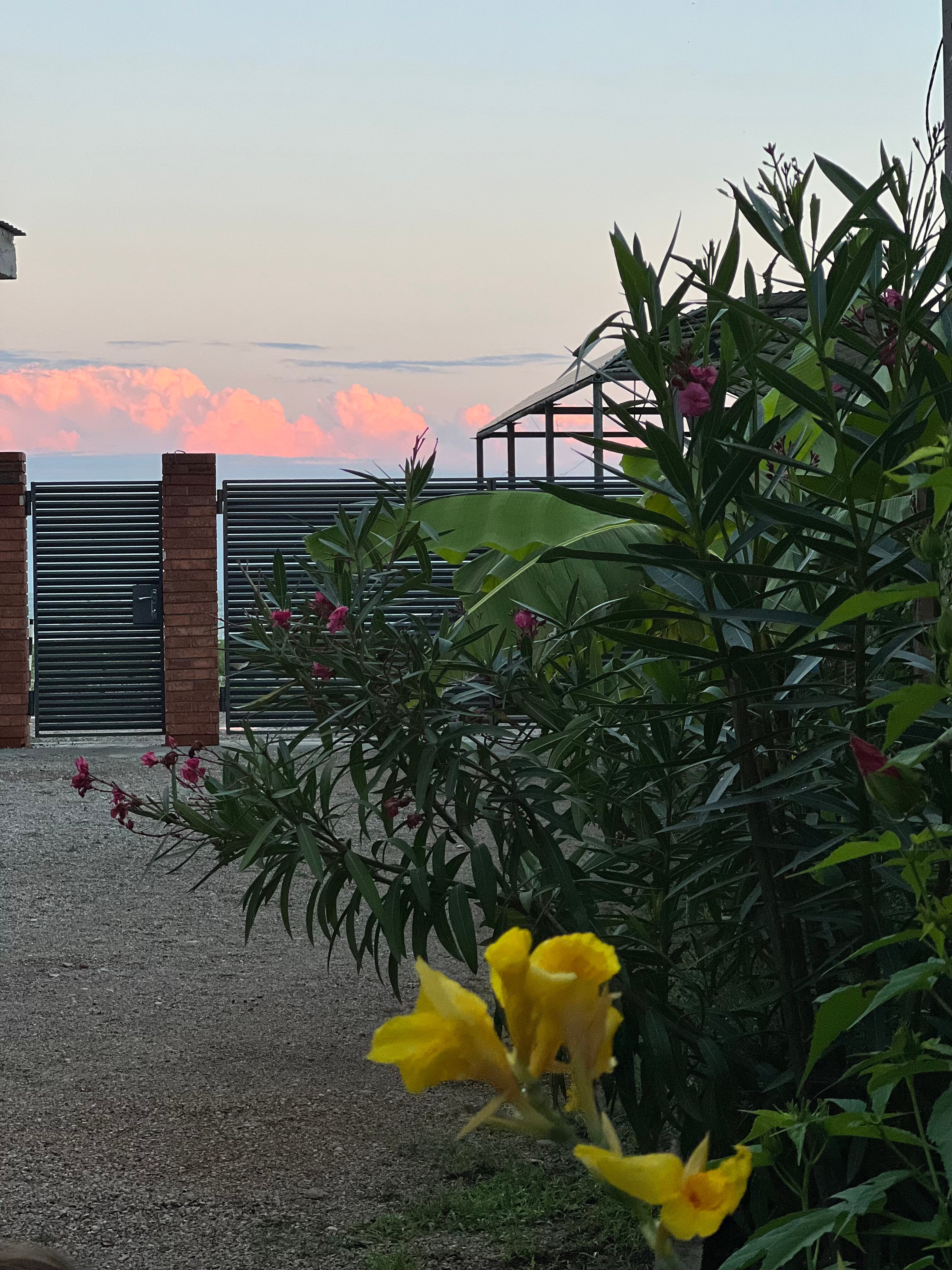 Фото Шезлонг