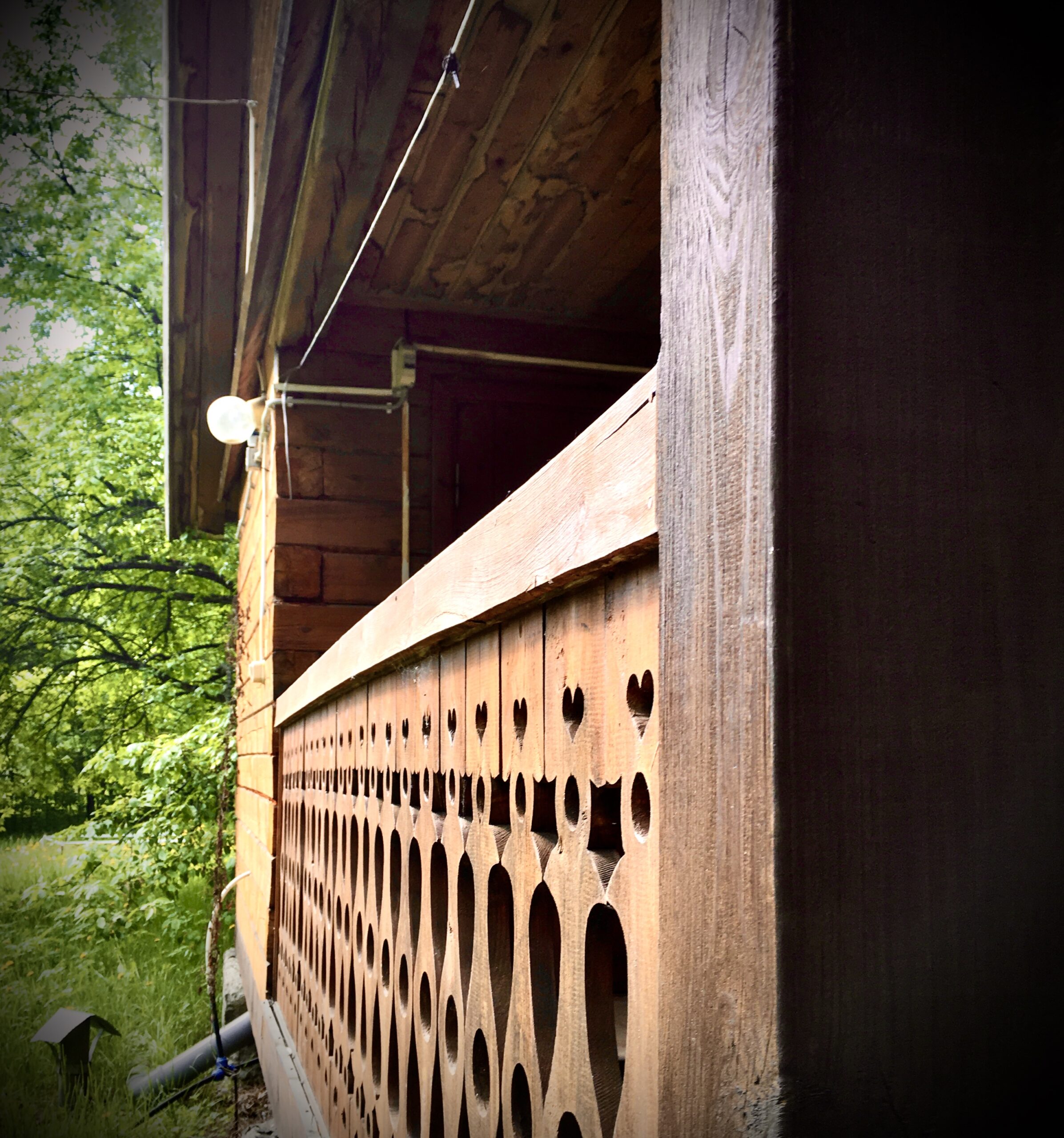 Фото Летний сад