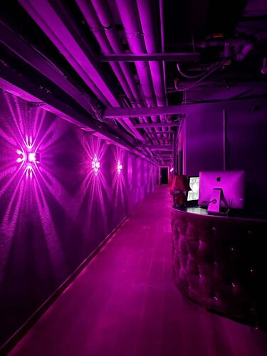 Issiq sikish va mushuk ichida mushuk