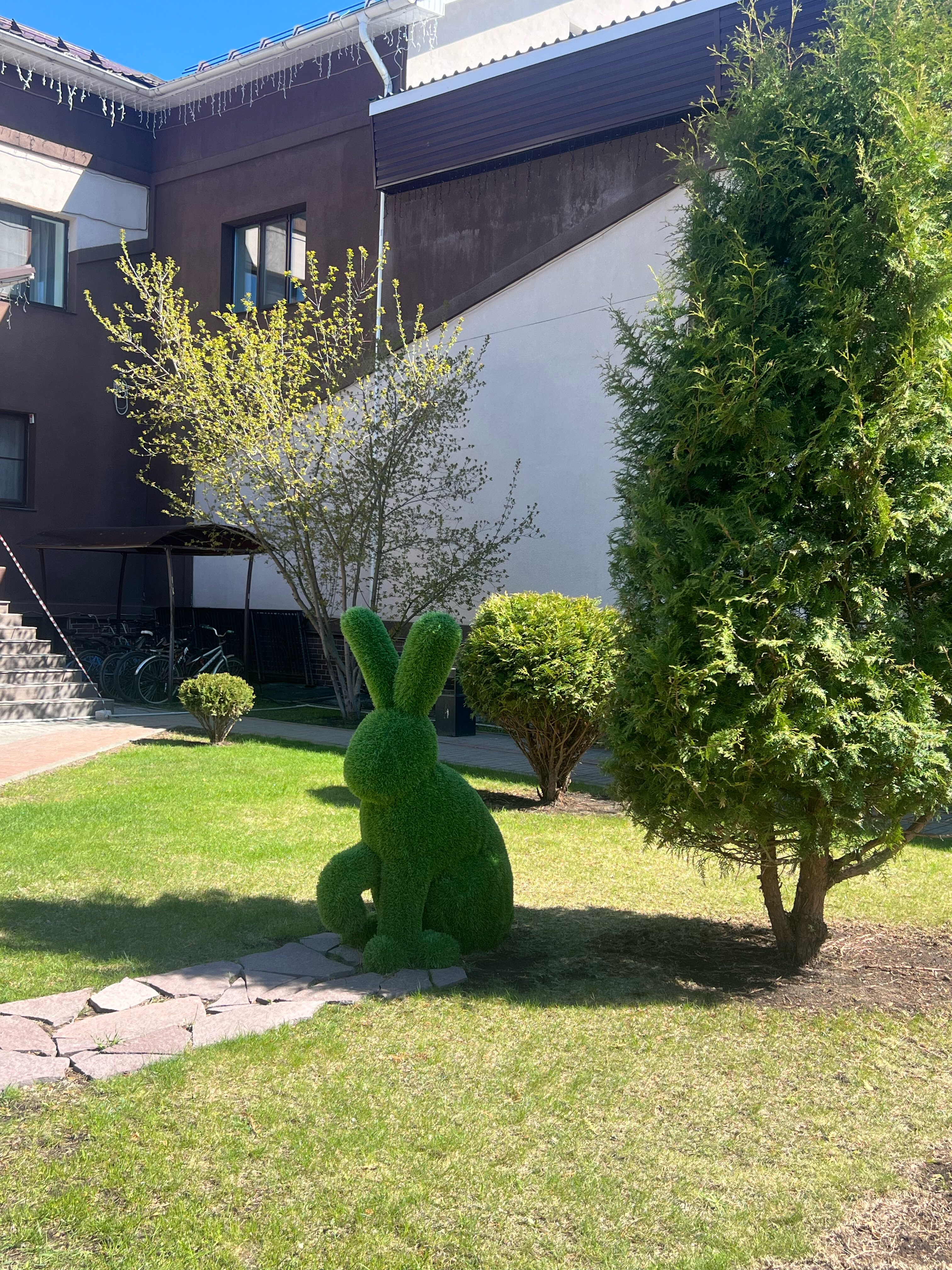 Фото Олимпия