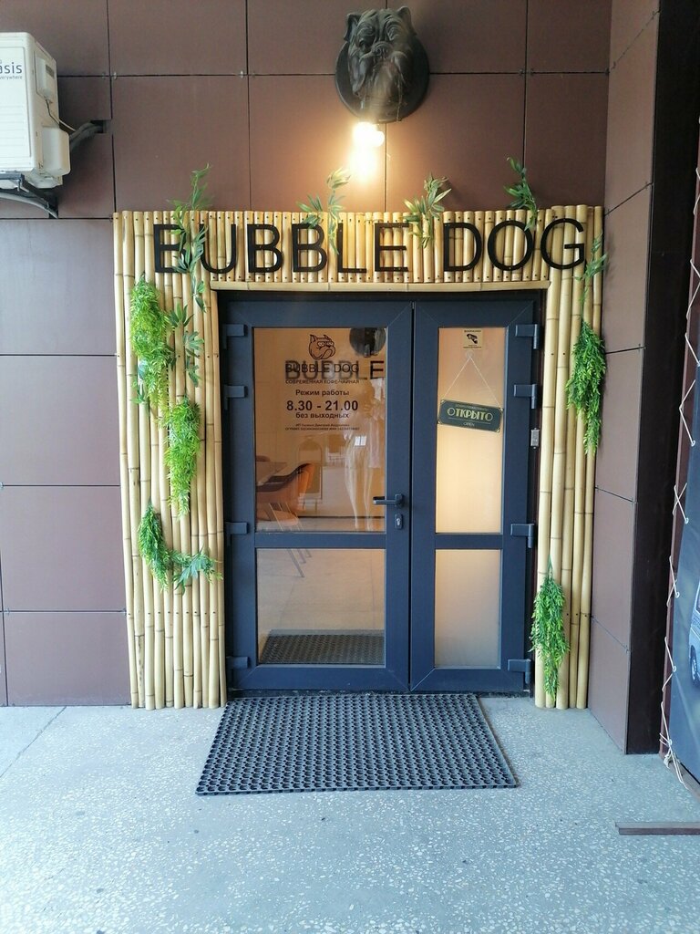 Tea room Bubble Dog, Volgograd, photo