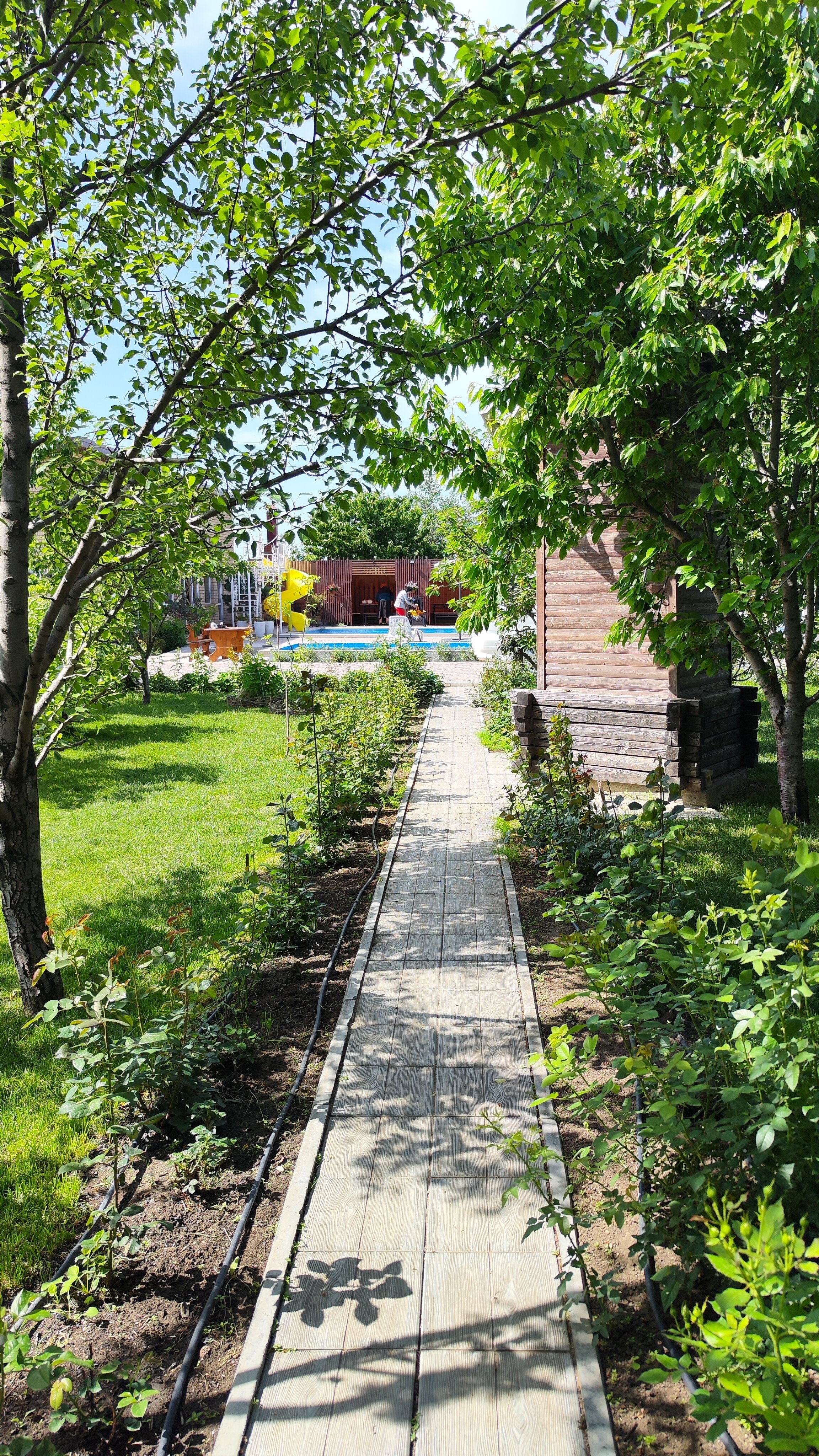 Фото Атмосфера