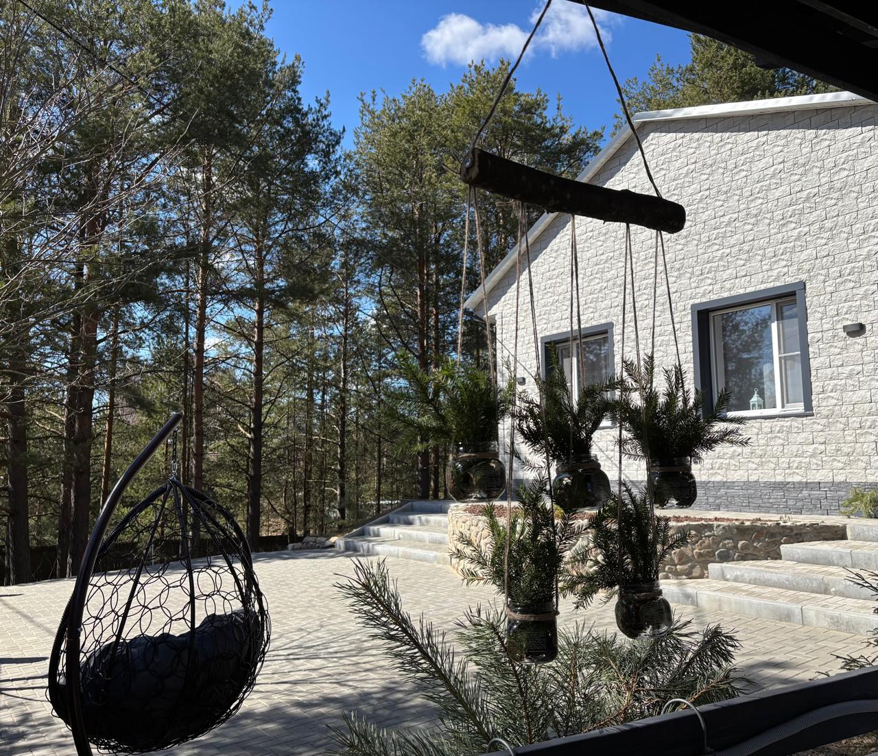 Фото Хвойная Гармония