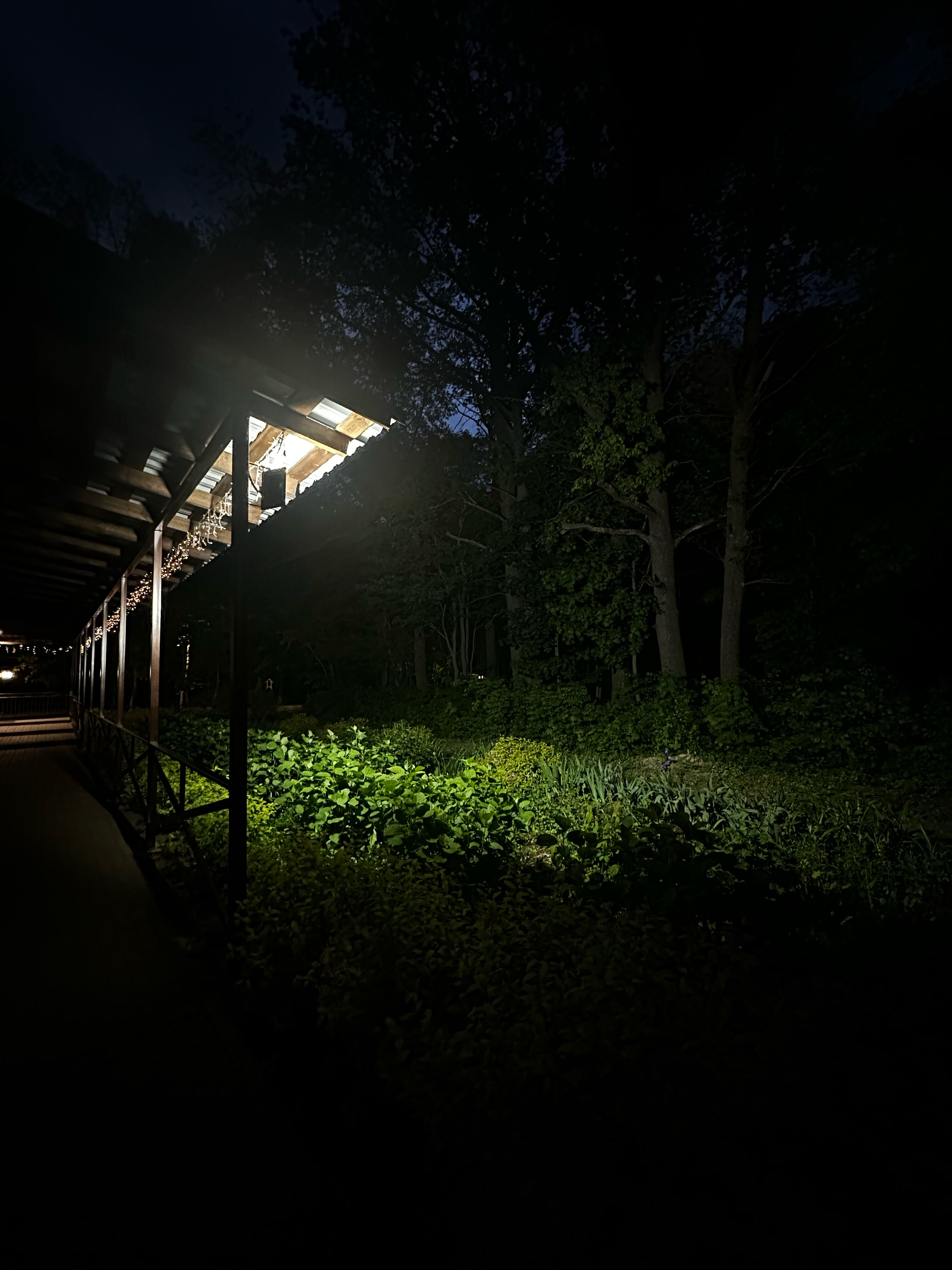 Фото Провинция