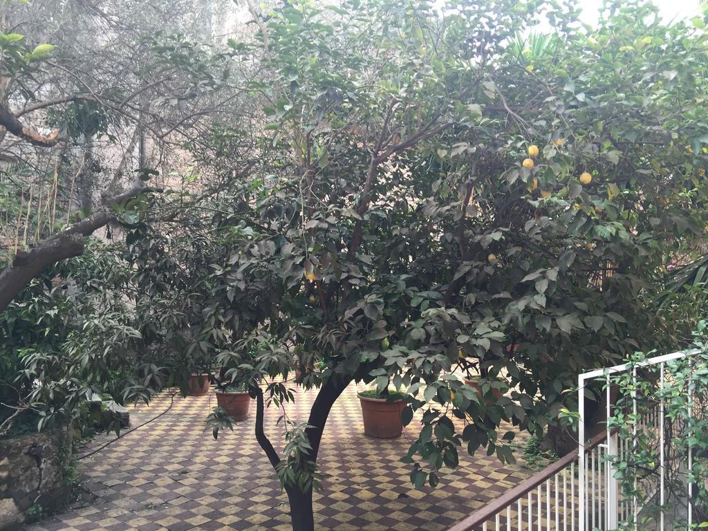 Фото Hotel Domus Aventina