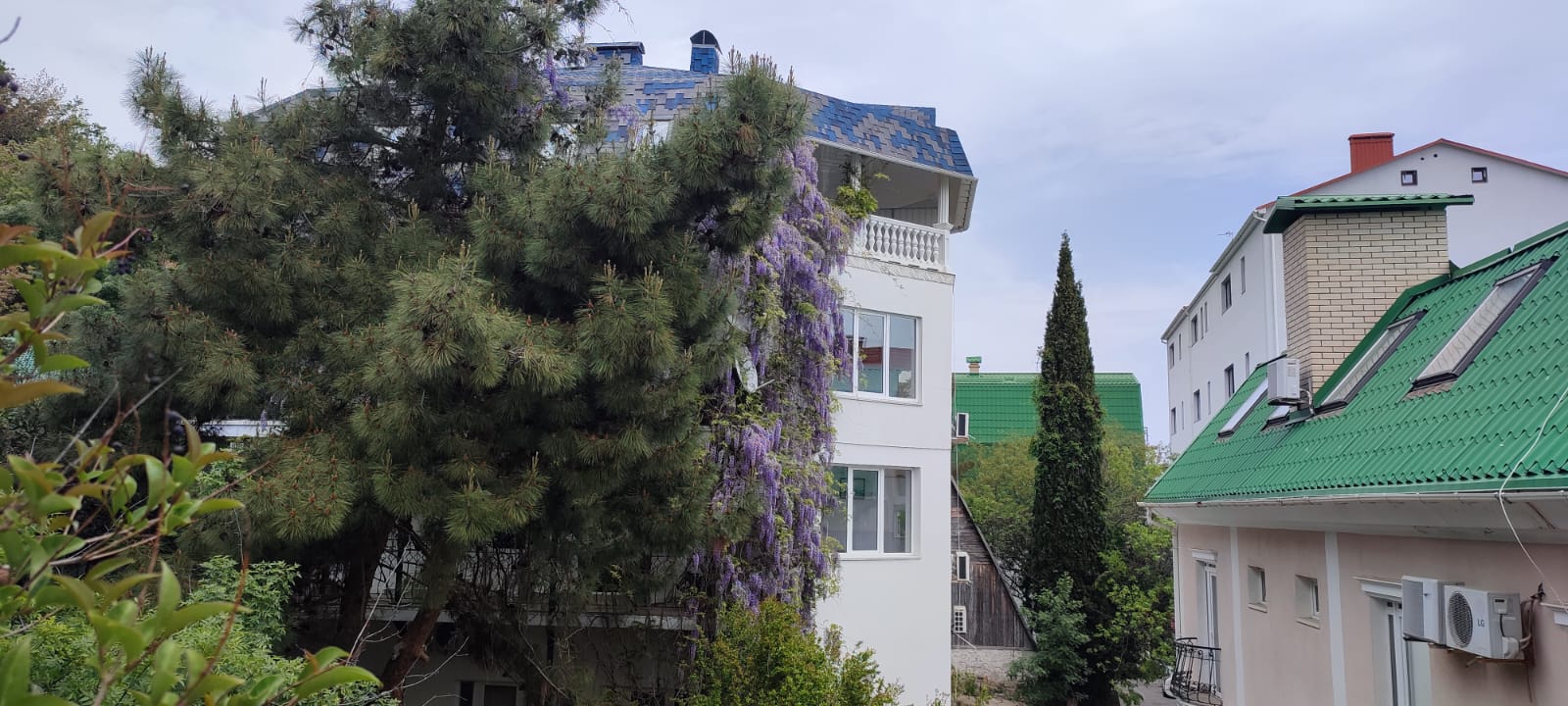 Фото Любимая