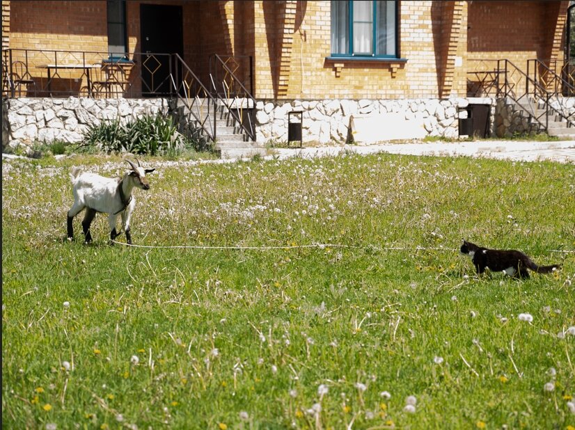 Фото Хуторок