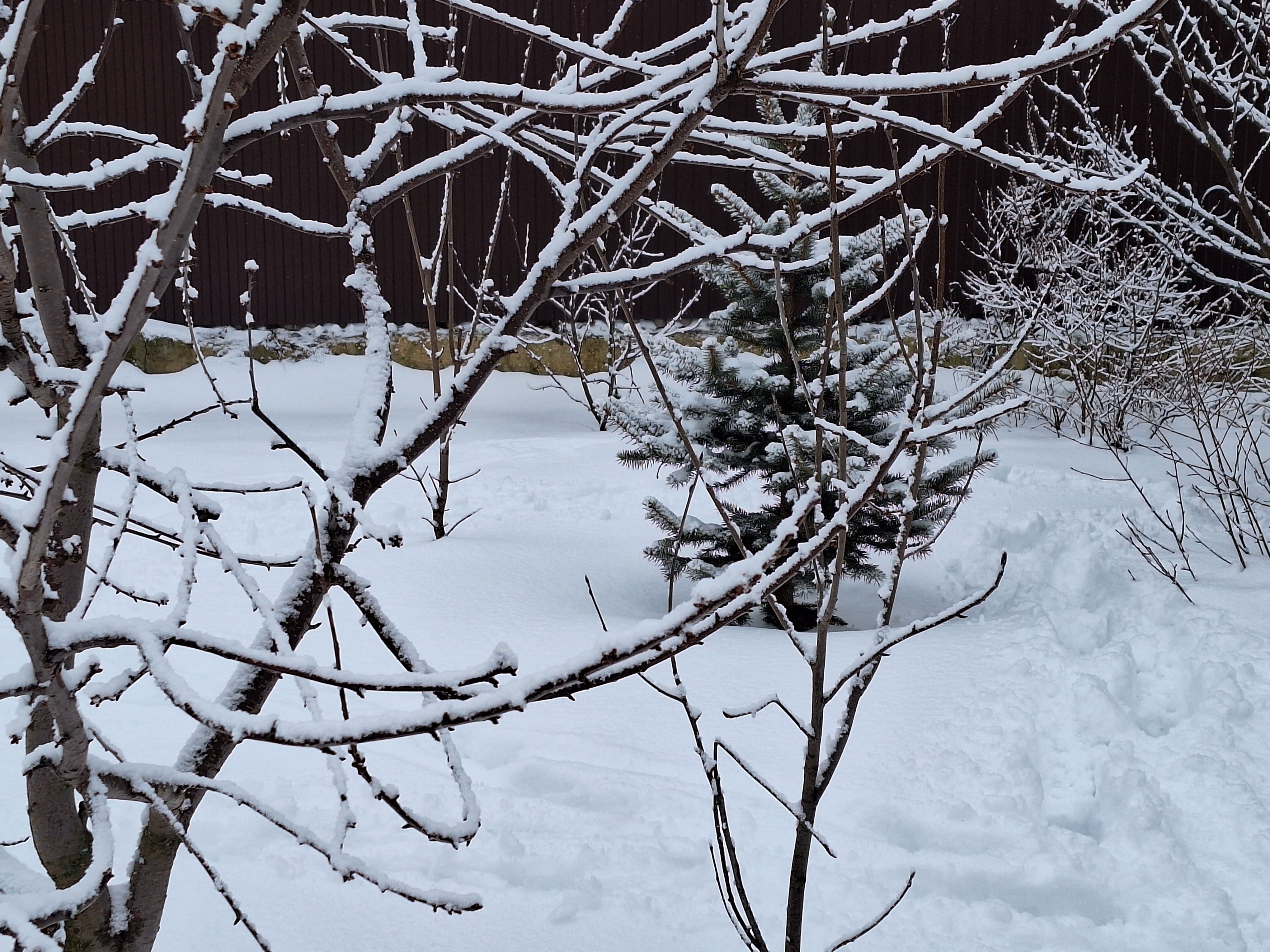 Фото Ноев Ковчег