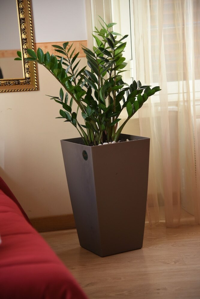 Фото B&B The Queens