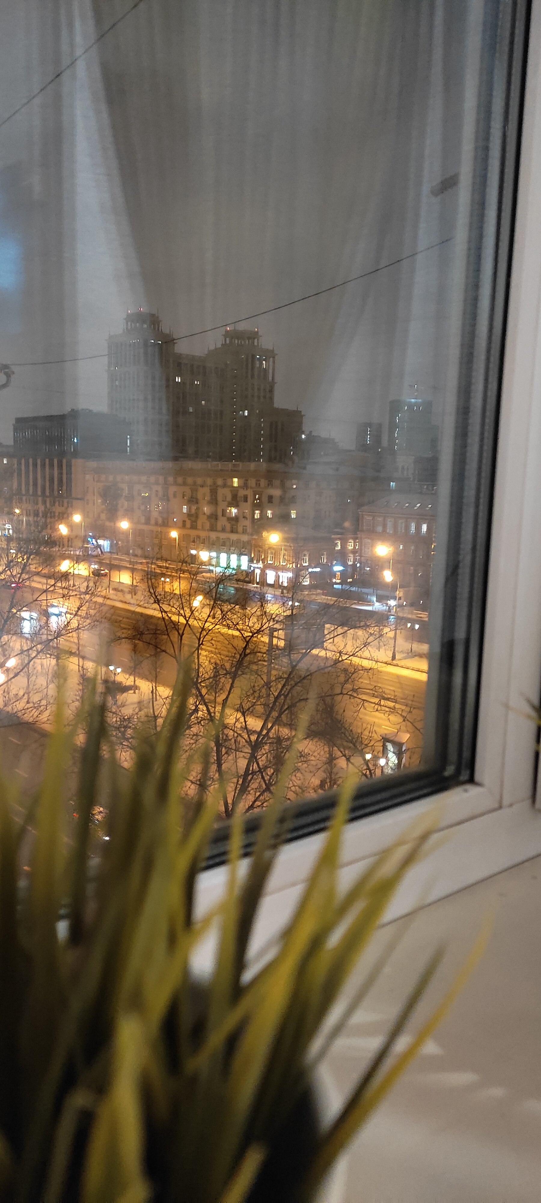 Фото Линдсей