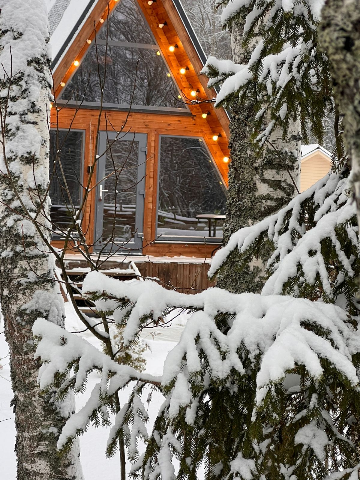 Фото Family Hive